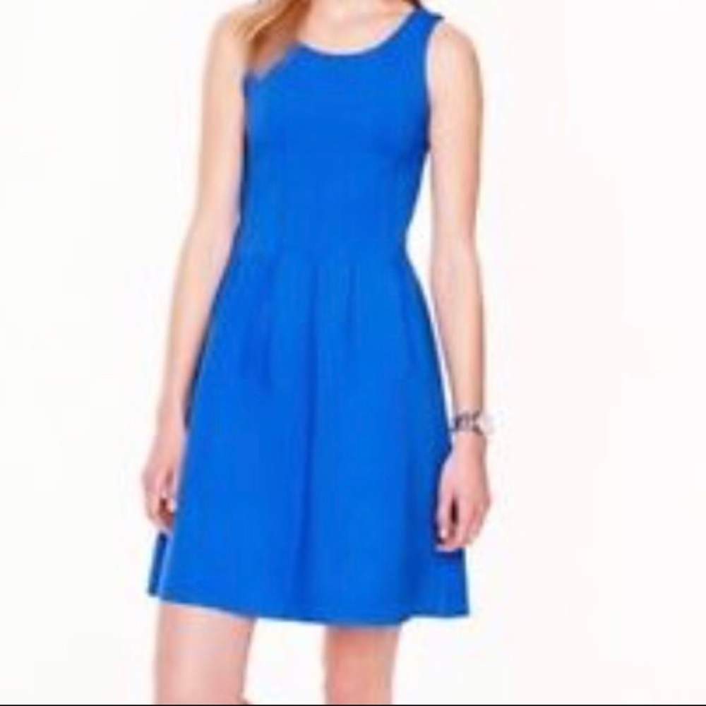 J. Crew Pleated Flare Dress